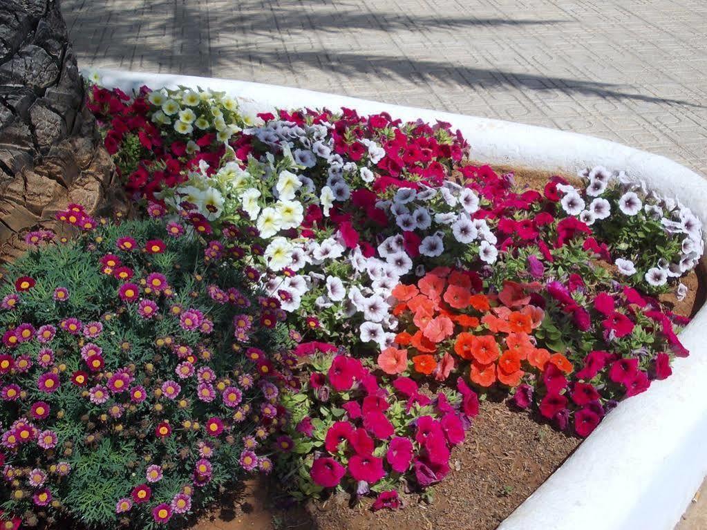 Hostal Rey Santa Eularia des Riu Exterior photo